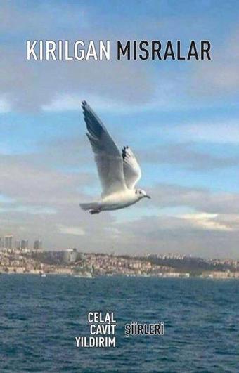 Kırılgan Mısralar - Celal Cavit Yıldırım - Tunç Yayınları