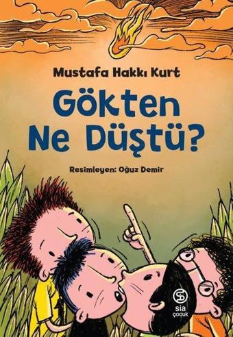 Gökten Ne Düştü? - Mustafa Hakkı Kurt - Sia