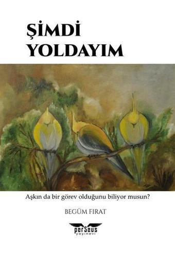 Şimdi Yoldayım - Begüm Fırat - Perseus Yayınevi