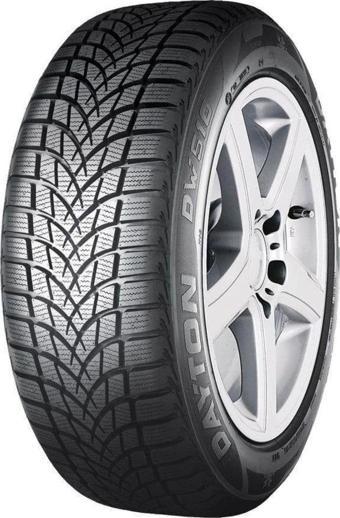 Dayton 205/55 R6 DW510E 91H Kış Lastiği (Üretim: 2024)