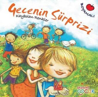 Gecenin Süprizi - Kaybolan Renkler - Hilal Üsküdar Gürbüz - Akademi Çocuk Yayınevi