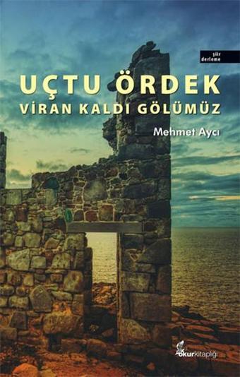 Uçtu Ördek Viran Kaldı Gölümüz - Mehmet Aycı - Okur Kitaplığı