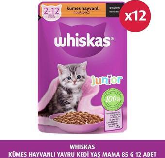 Whiskas Kümes Hayvanlı Yavru Kedi Yaş Mama 85 G 12X