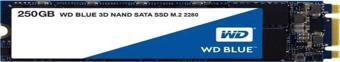 Wd Sata Blue 250GB M.2 SSD