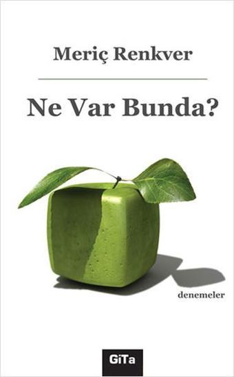 Ne Var Bunda? - Meriç Renkver - Gita Yayınevi