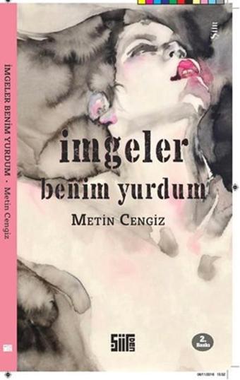 İmgeler Benim Yurdum - Metin Cengiz - Şiirden Yayınları