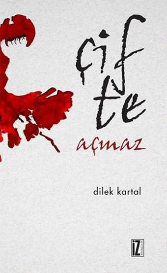 Çifte Açmaz - Dilek Kartal - İz Yayıncılık