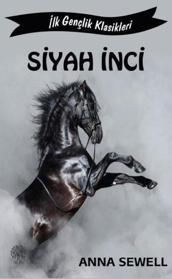 Siyah İnci - Anna Sewell - Platanus Publishing