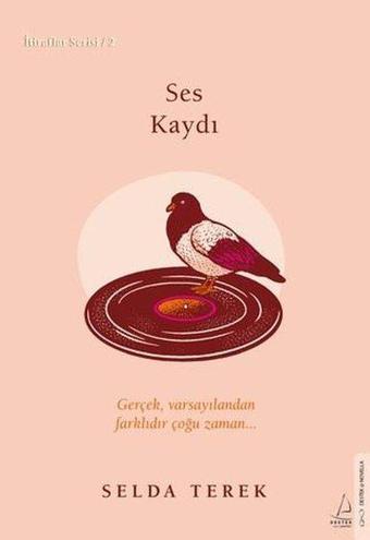 Ses Kaydı - İtiraflar Serisi 2 - Selda Terek - Destek Yayınları