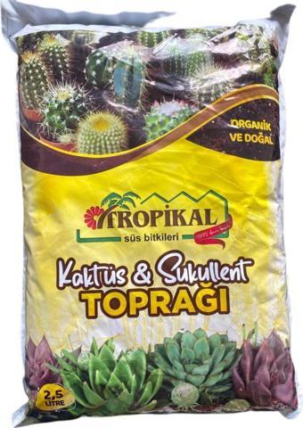 Tropikal Kaktüs Ve Sukulent Toprağı 2,5 Lt