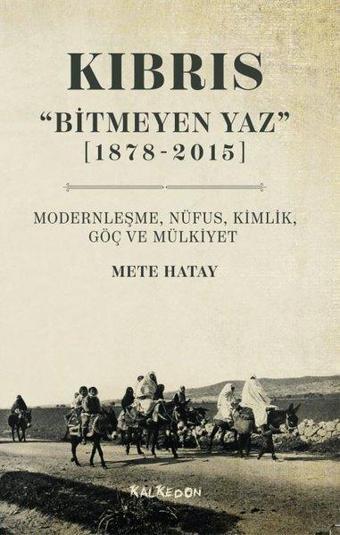 Kıbrıs - Bitmeyen Yaz 1878-2015 Modernleşme Nüfus Kimlik Göç ve Mülkiyet - Mete Hatay - Kalkedon