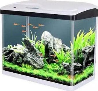 Sobo Komple Akvaryum 60x23x55 Cm Beyaz