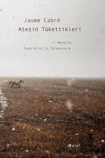 Ateşin Tükettikleri - Jaume Cabre - Alef