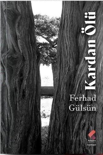 Kardan Ölü - Ferhad Gülsün - Klaros Yayınları