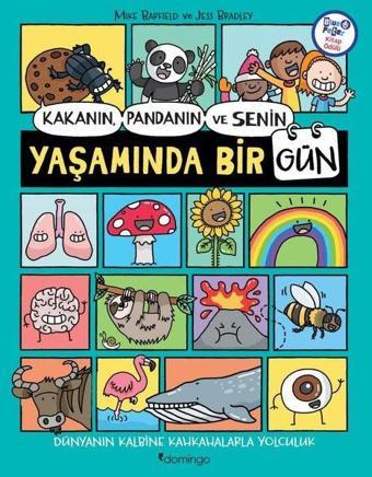 Kakanın Pandanın ve Senin Yaşamında Bir Gün - Jess Bradley - Domingo Yayınevi