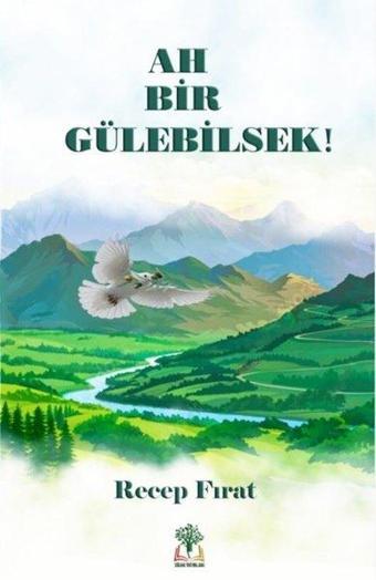 Ah Bir Gülebilsek! - Recep Fırat - Sidar Yayınları