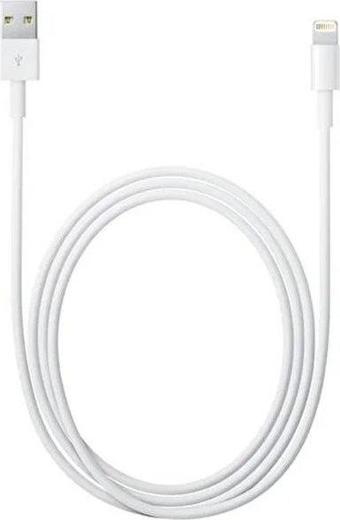 Apple Lightning to Usb Cable 05m