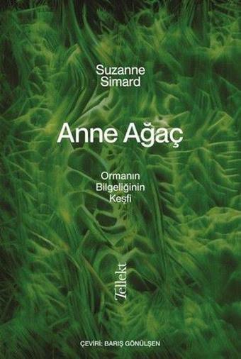 Anne Ağaç - Ormanın Bilgeliğinin Keşfi - Suzanne Simard - Tellekt