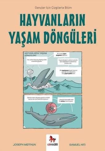 Hayvanların Yaşam Döngüleri-Gençler İçin Çizgilerle Bilim - Joseph Midthun - Almidilli