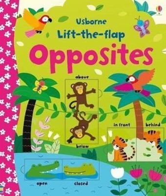 Lift-the-flap Opposites - Kolektif  - Usborne