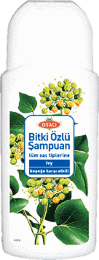 Otacı Ivy Kepek Şampuanı 400 ml Duvar Sarmaşığı