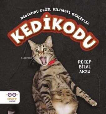 Kedikodu - Recep Bilal Aksu - Cezve Çocuk