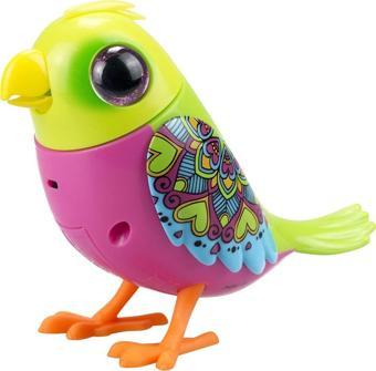 Digibirds Tekli Paket Seri 1 - Model 3