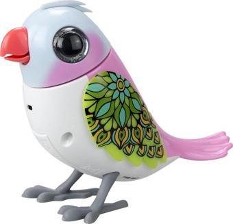 Digibirds Tekli Paket Seri 2 - Model 3