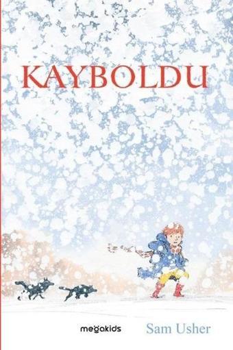 Kayboldu - Sam Usher - Megakids Yayıncılık