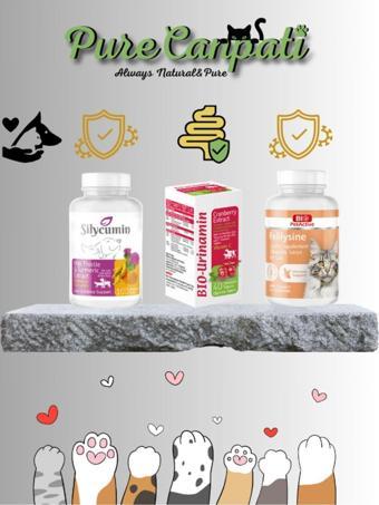 PureCanpati Kedi Destek Grubu Seti(felilysine,Bio Urinamin, Silycumin)
