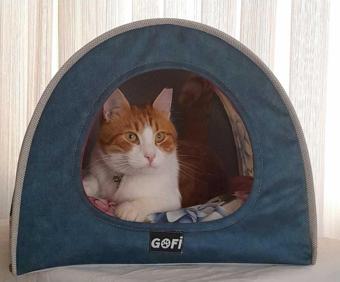 ARSPOLO Köpek Kedi Yatağı Kedi Evi Kedi Çadırı 45/44/35