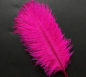 400 PCS DECOR VIP DARK PINK BIRD FEATHER 400 ADET KOYU PEMBE KUŞ TÜYÜ ŞEFFAF BALON TÜYÜ SÜSLEME TÜYÜ