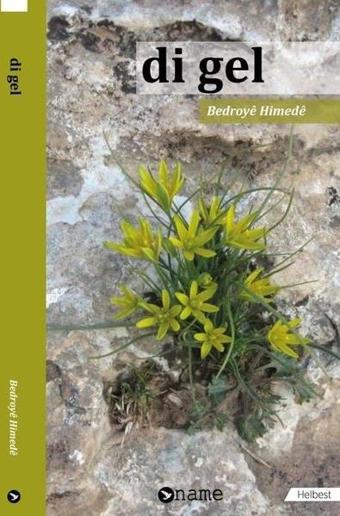 Di Gel - Bedroye Himede - Name