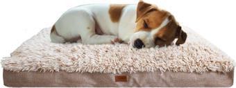 Lepus Kedi Ve Köpek Yatağı (Pophidic Cushion) Small