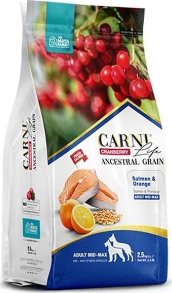 CARNİ LİFE Carni Dog Adult Somon/portakallı Med/max Köpek Maması 12 Kg