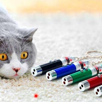 BYR 3 Fonksiyonlu Kırmızı Beyaz Işıklı Led Lazer Kedi Köpek Oyuncak Anahtarlık |1 Adet|