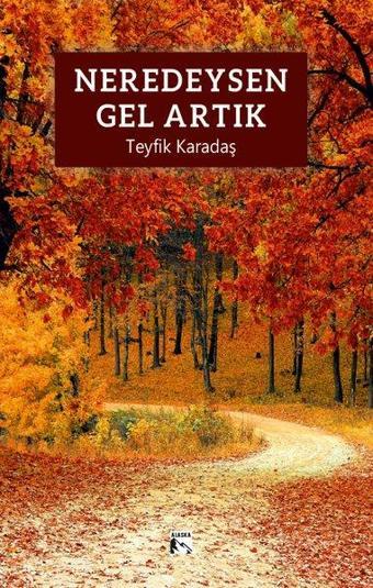 Neredeysen Gel Artık - Teyfik Karadaş - Alaska Yayınları