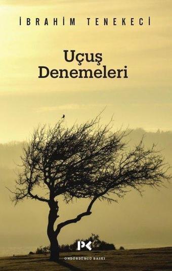 Uçuş Denemeleri - İbrahim Tenekeci - Profil Kitap Yayınevi