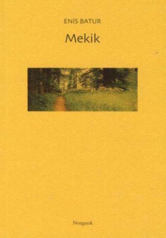 Mekik - Enis Batur - Norgunk Yayıncılık