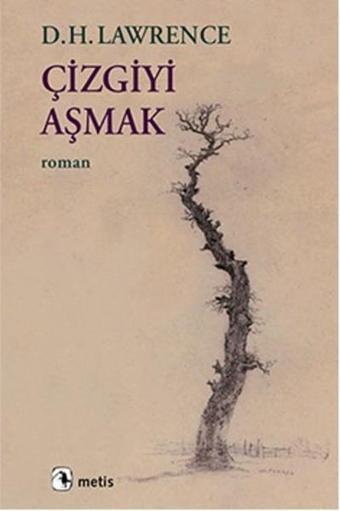 Çizgiyi Aşmak - D. H. Lawrence - Metis Yayınları