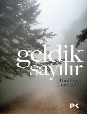 Geldik Sayılır - İbrahim Tenekeci - Profil Kitap Yayınevi