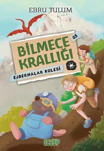 Ejderhalar Kulesi - Bilmece Krallığı 3 - Ebru Tulum - Acayip