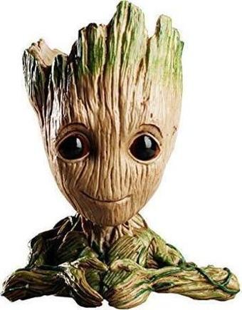 Groot Saksı Kalpli Bonsai Saksısı Kalemlik Sukulent sphagnum Yosunlar