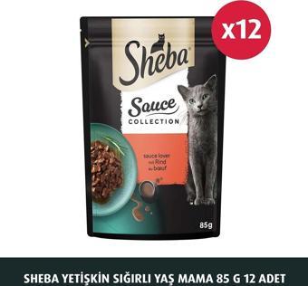 Sheba Yetişkin Sığırlı Yaş Mama 85 G 12X