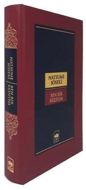 Ben Bir Kediyim - Natsume Soseki - Ötüken Neşriyat