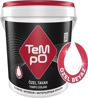 Tempo Özel Tavan 10 Kg Beyaz