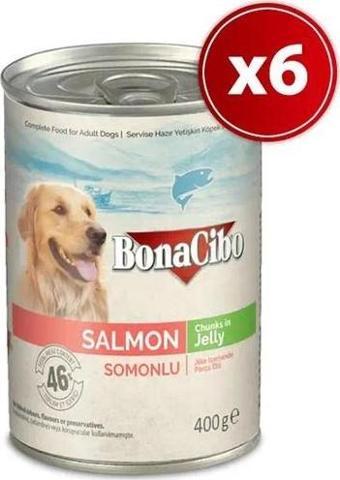 Bonacibo Jöleli Somonlu Yaş Yetişkin Köpek Konserve Maması 400 gr x 6 Adet