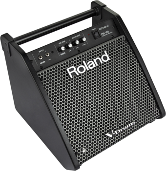 ROLAND PM-100 - 80 Watt Davul Monitörü