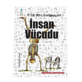 STEM Bilim Ansiklopedisi - İnsan Vücudu - Kolektif  - Çocuk Gelişimi Yayınları