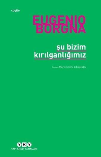 Şu Bizim Kırılganlığımız - Yapı Kredi Yayınları